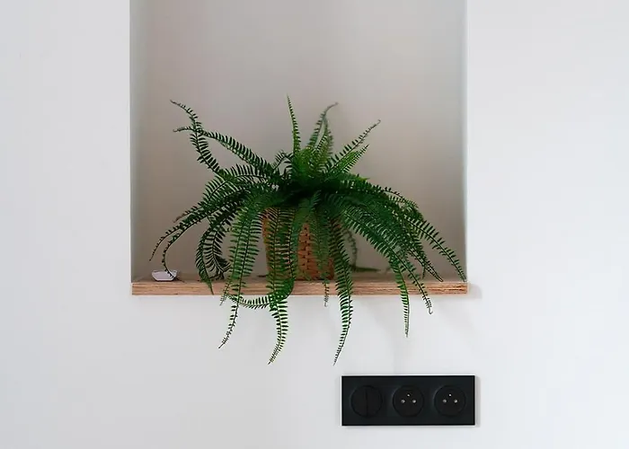 Mariotte - Le Bleu Majorelle - Independant Apartment Dijon